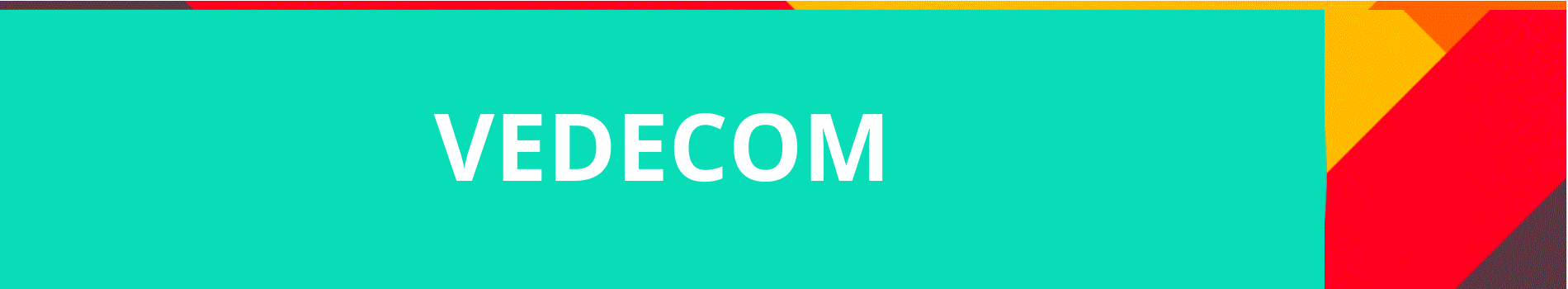 2-VEDECOM